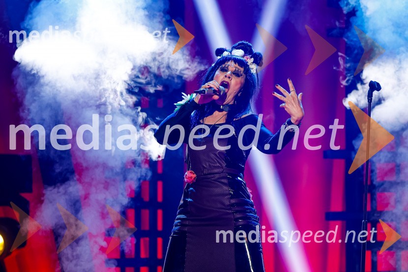  Damjana Golavšek, pevkaZnan obraz ima svoj glas, 8. oddaja