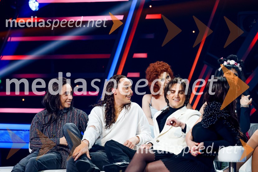 Znan obraz ima svoj glas, 8. oddaja