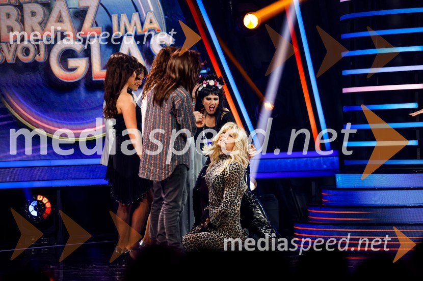 Znan obraz ima svoj glas, 8. oddaja