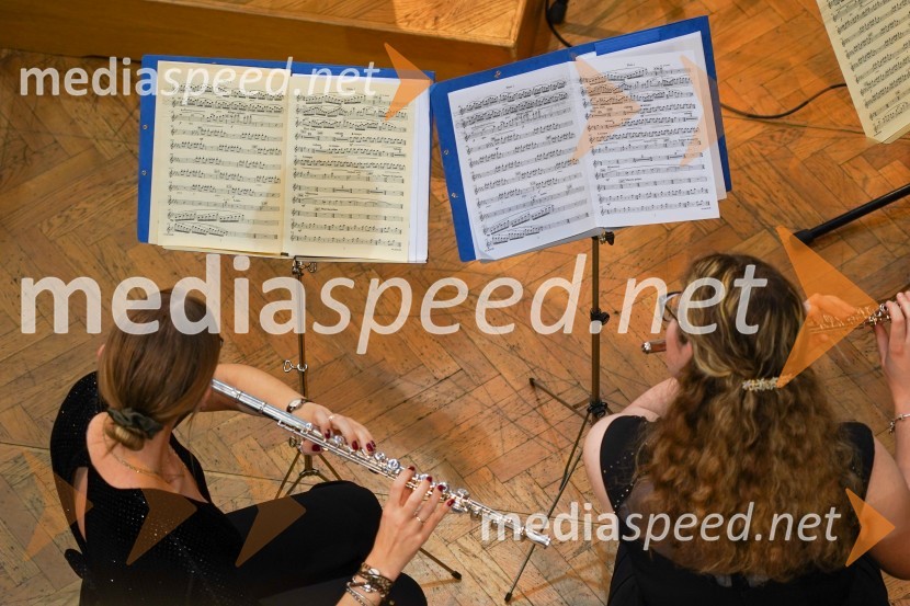 Dobrodelni koncert mednarodnega rotarijskega orkestra ob 30-letnici Rotary kluba Maribor