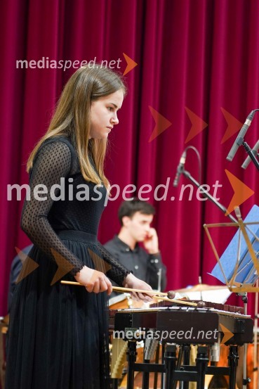 Dobrodelni koncert mednarodnega rotarijskega orkestra ob 30-letnici Rotary kluba Maribor