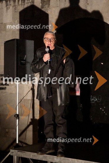 mag. Marcel Štefančič ml., filmski kritik, publicist in TV voditeljDan zmage z Marcelom Štefančičem Jr