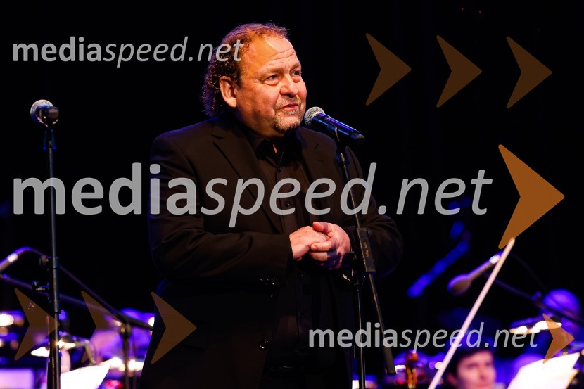  Darko  Brlek, direktor in umetniški vodja, Festival LjubljanaOtvoritev nove strehe v Poletnem gledališču Križank