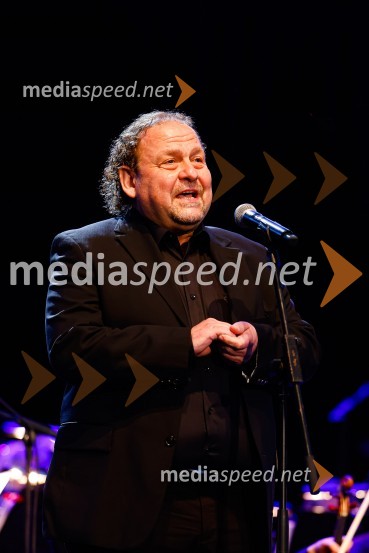  Darko  Brlek, direktor in umetniški vodja, Festival LjubljanaOtvoritev nove strehe v Poletnem gledališču Križank