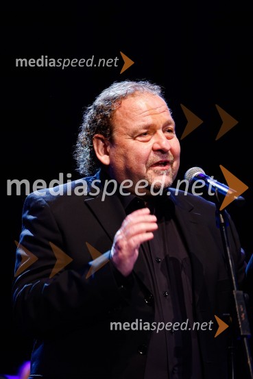  Darko  Brlek, direktor in umetniški vodja, Festival LjubljanaOtvoritev nove strehe v Poletnem gledališču Križank