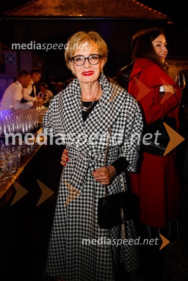  Metka  Premerl, slavistkaOtvoritev nove strehe v Poletnem gledališču Križank