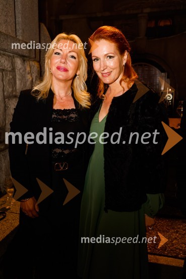 Otvoritev nove strehe v Poletnem gledališču Križank