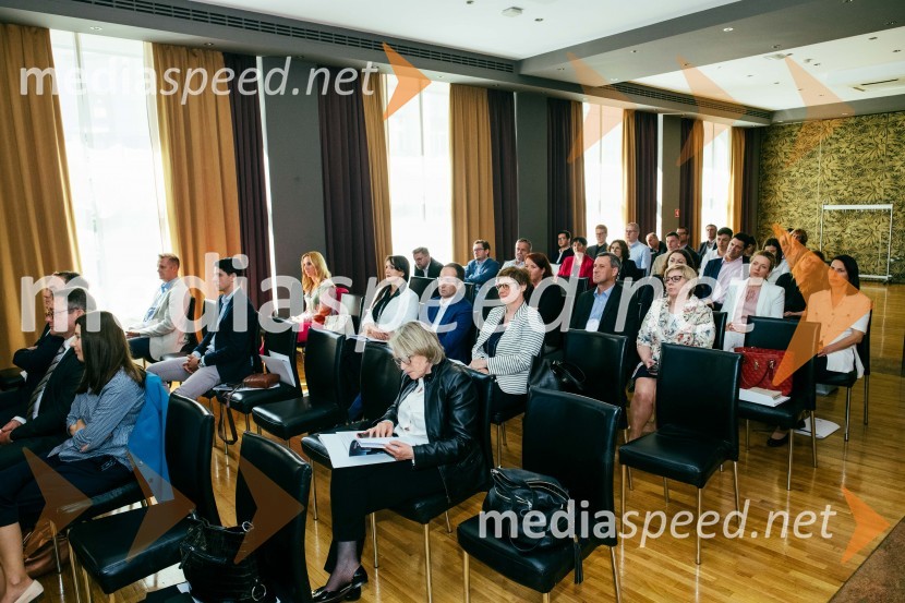  Tesa Krnc, Holding Slovenske elektrarne d.o.o.Deseta obletnica društva SI.RISK