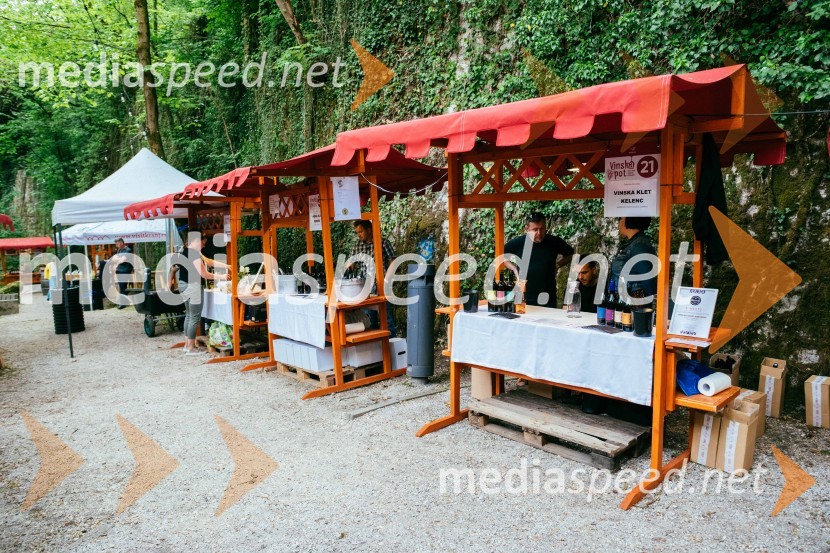 Vinska pot v rovih pod starim Kranjem 2022, petek 1