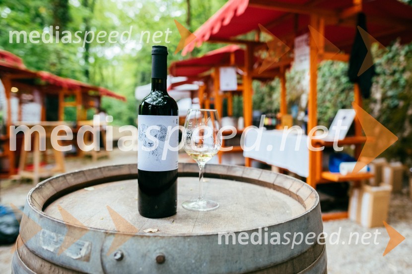 Vinska pot v rovih pod starim Kranjem 2022, petek 1