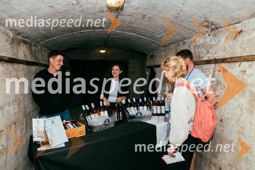 Vinska pot v rovih pod starim Kranjem 2022, petek 1