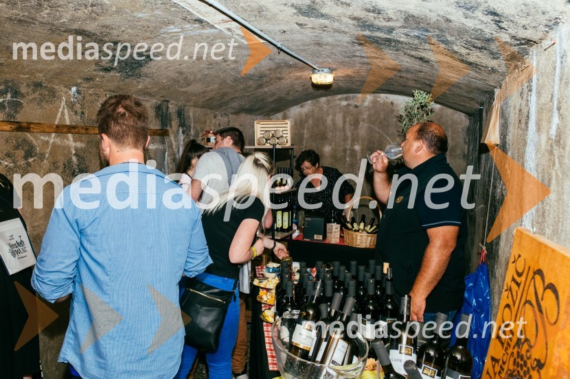 Vinska pot v rovih pod starim Kranjem 2022, petek 1