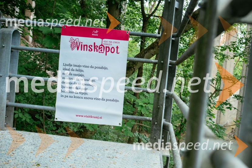 Vinska pot v rovih pod starim Kranjem 2022, petek 1