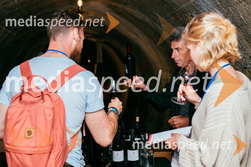 Vinska pot v rovih pod starim Kranjem 2022, petek 1