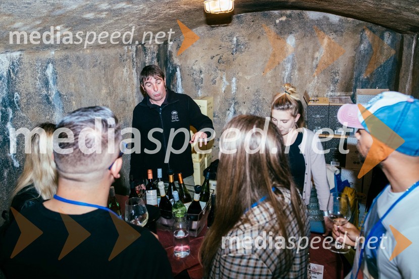 Vinska pot v rovih pod starim Kranjem 2022, petek 1