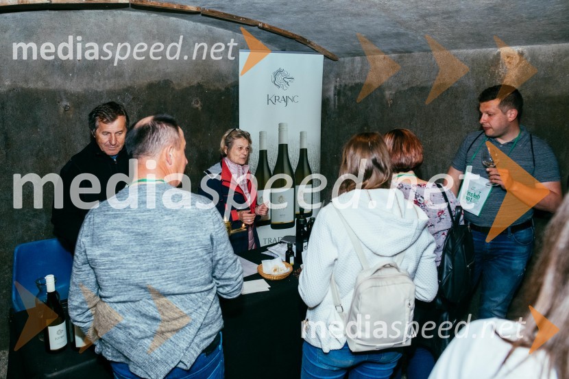 Vinska pot v rovih pod starim Kranjem 2022, petek 1