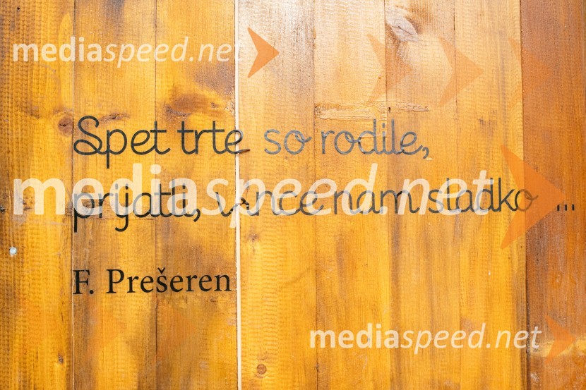 Vinska pot v rovih pod starim Kranjem 2022, petek 1