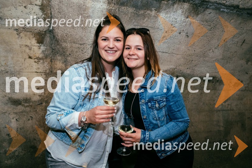 Vinska pot v rovih pod starim Kranjem 2022, petek 1