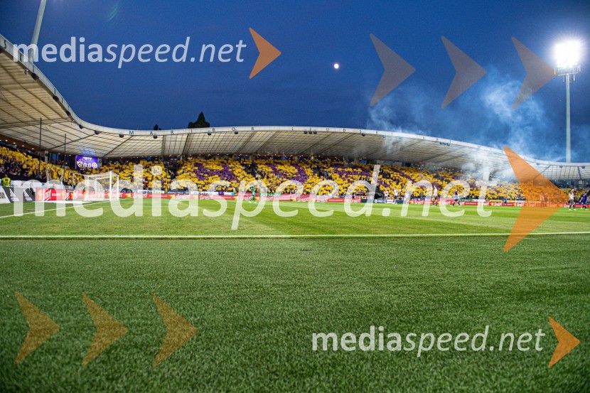 Marcos Tavares - zadnja tekma v Ljudskem vrtu