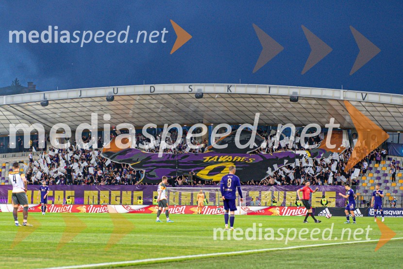 Marcos Tavares - zadnja tekma v Ljudskem vrtu