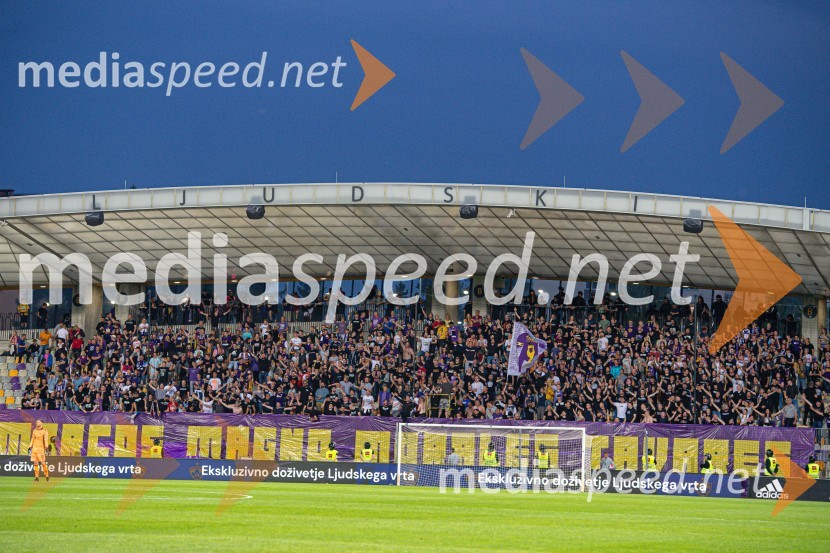 Marcos Tavares - zadnja tekma v Ljudskem vrtu