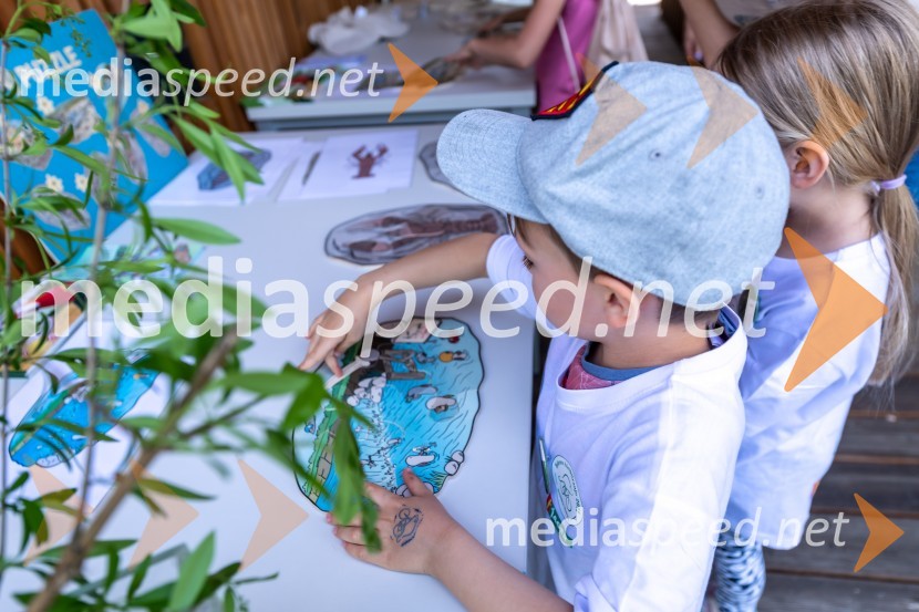 1. Bobrovo bicikliranje