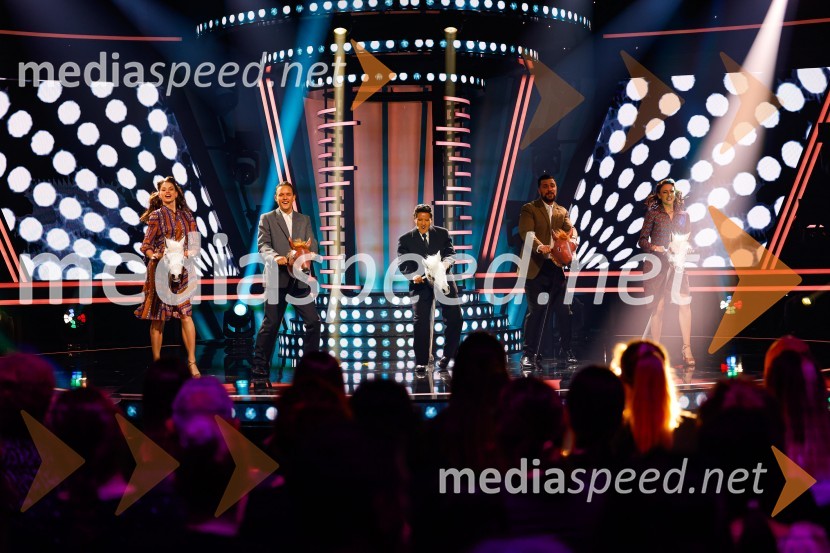 Znan obraz ima svoj glas, 9. oddaja