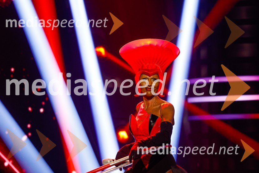  Damjana Golavšek, pevkaZnan obraz ima svoj glas, 9. oddaja