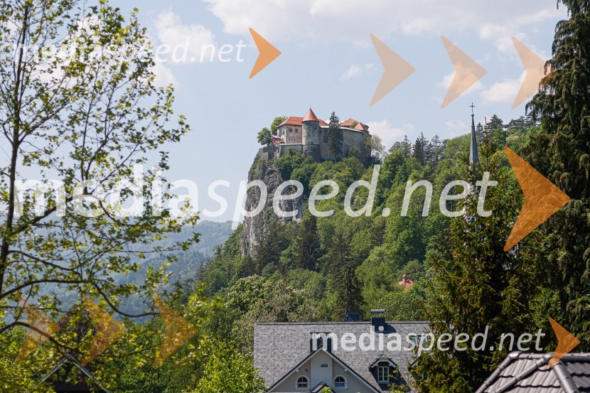 Dan slovensko-nemškega gospodarstva 2022