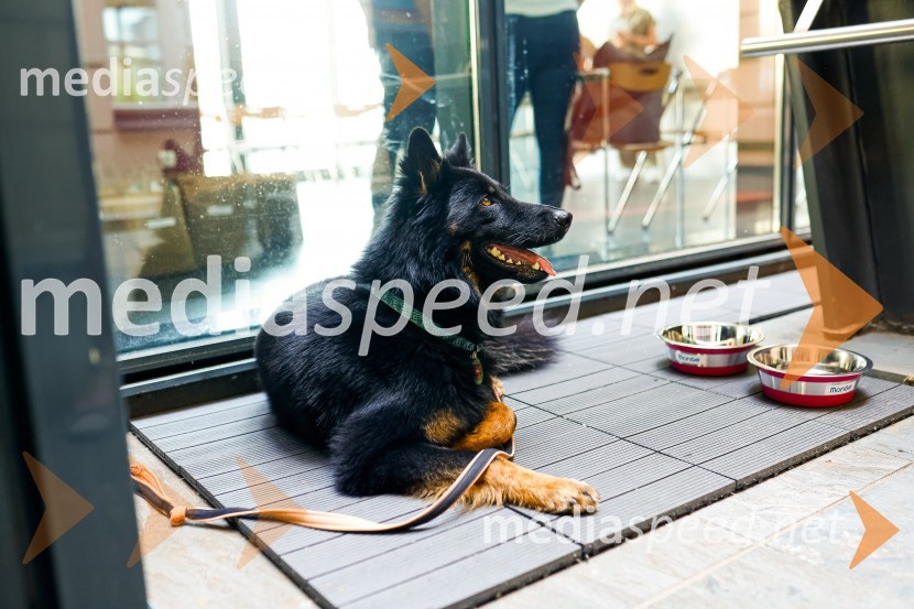 Psom prijazen in dostopen muzej, novinarska konferenca