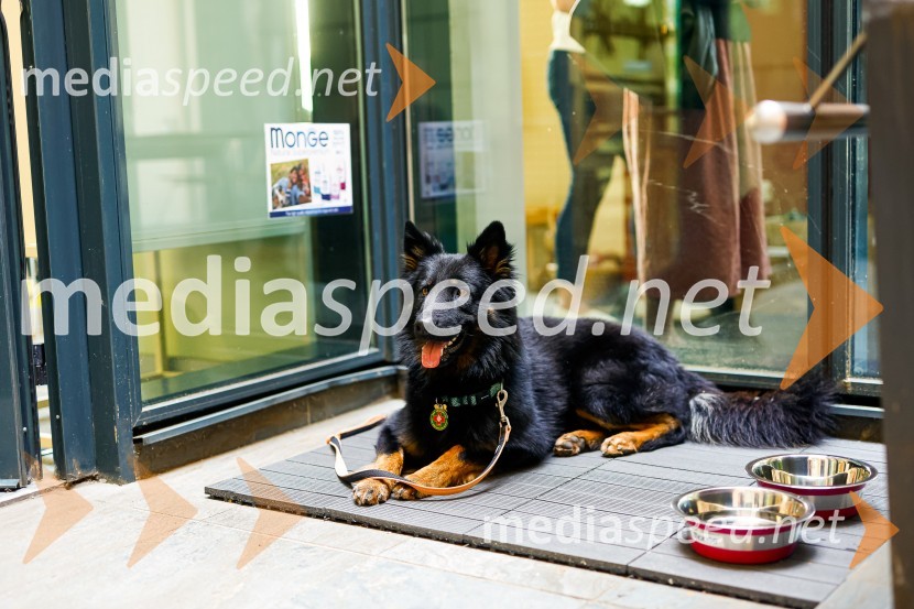 Psom prijazen in dostopen muzej, novinarska konferenca