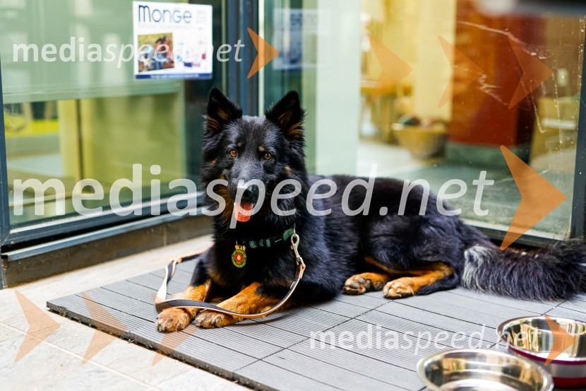 Psom prijazen in dostopen muzej, novinarska konferenca