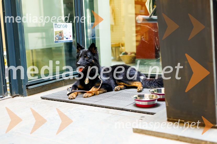 Psom prijazen in dostopen muzej, novinarska konferenca