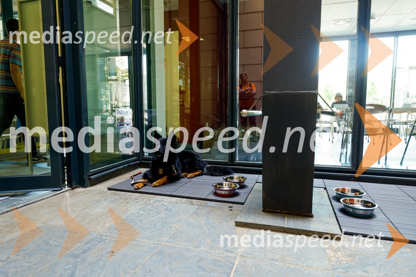 Psom prijazen in dostopen muzej, novinarska konferenca