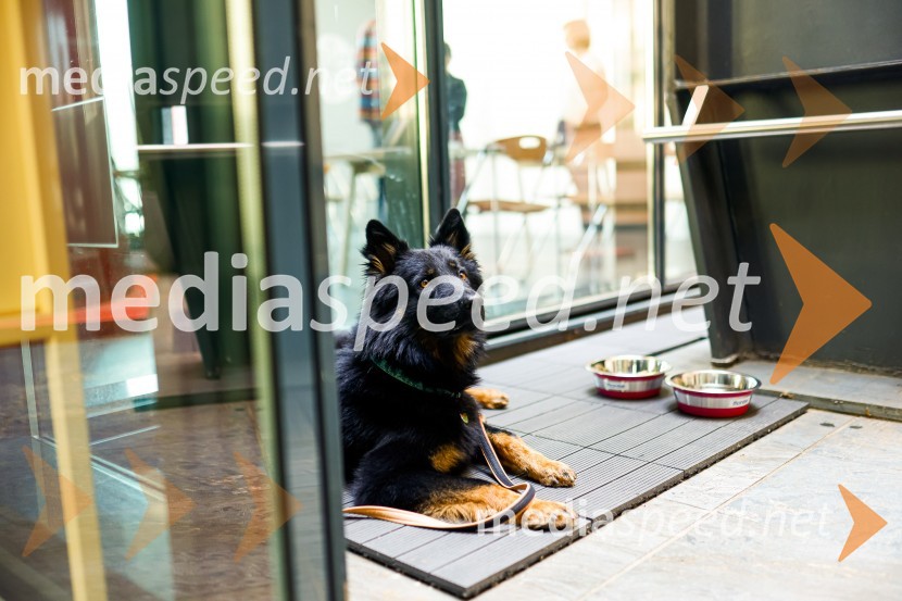 Psom prijazen in dostopen muzej, novinarska konferenca