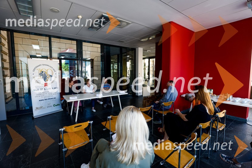 Psom prijazen in dostopen muzej, novinarska konferenca