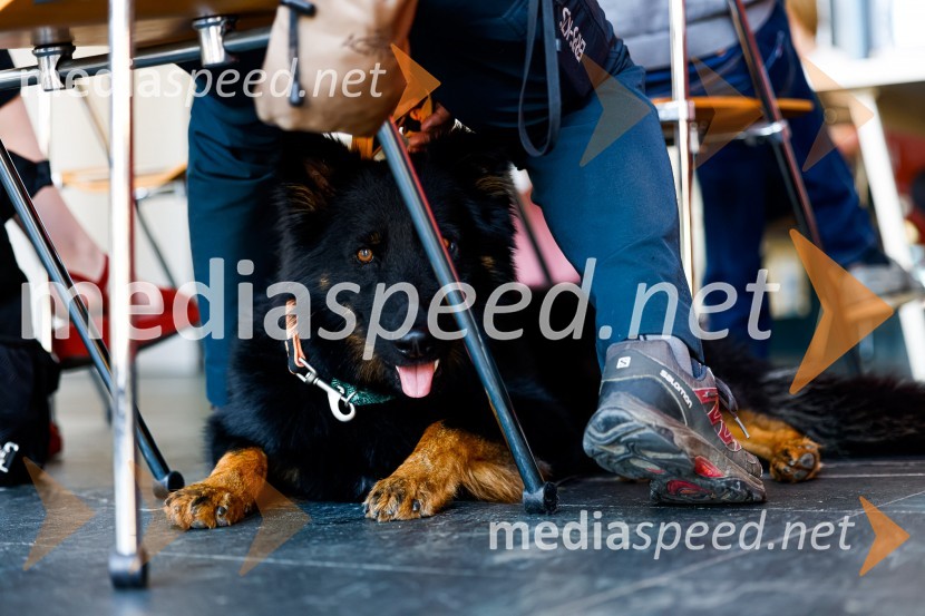 Psom prijazen in dostopen muzej, novinarska konferenca