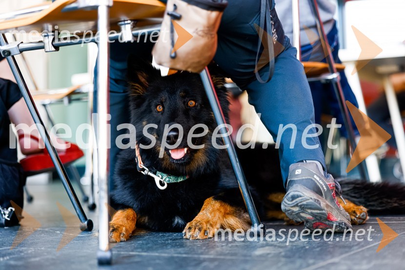 Psom prijazen in dostopen muzej, novinarska konferenca