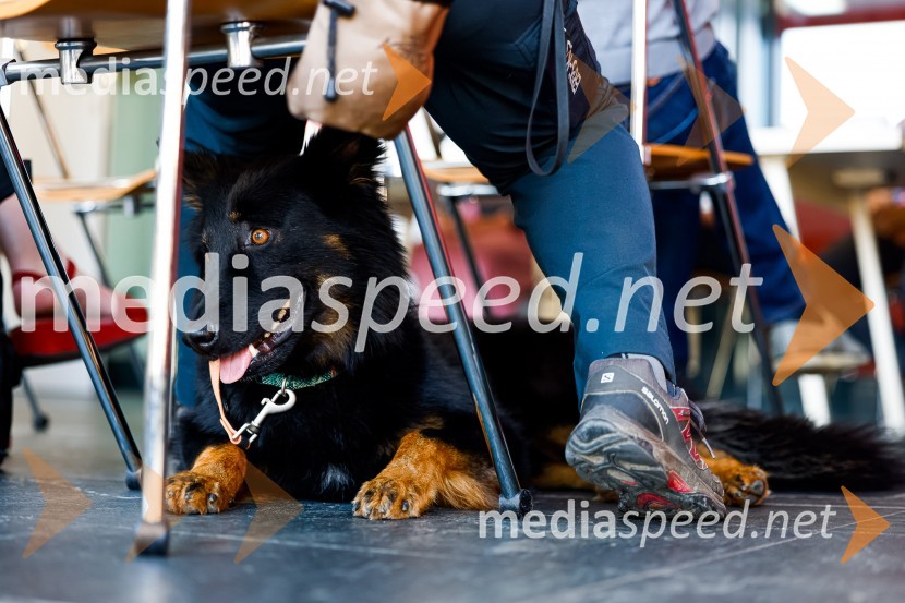Psom prijazen in dostopen muzej, novinarska konferenca