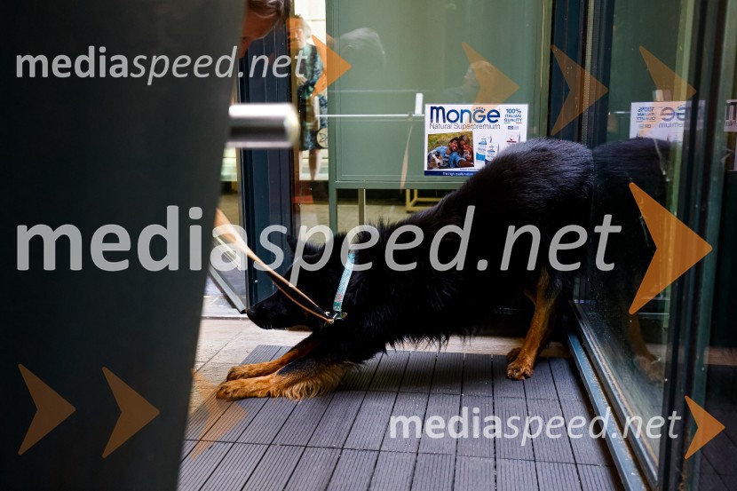 Psom prijazen in dostopen muzej, novinarska konferenca