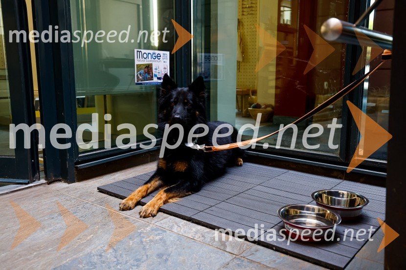 Psom prijazen in dostopen muzej, novinarska konferenca