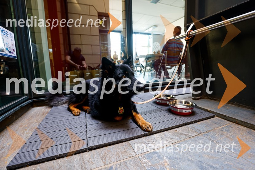 Psom prijazen in dostopen muzej, novinarska konferenca