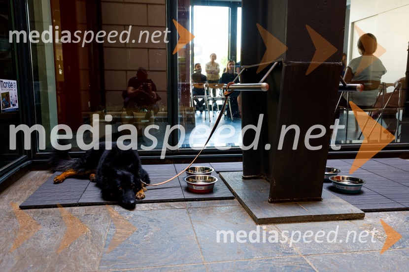 Psom prijazen in dostopen muzej, novinarska konferenca