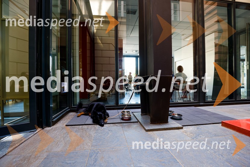 Psom prijazen in dostopen muzej, novinarska konferenca