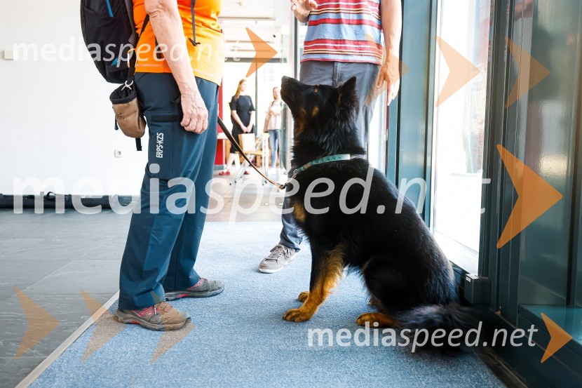 Psom prijazen in dostopen muzej, novinarska konferenca