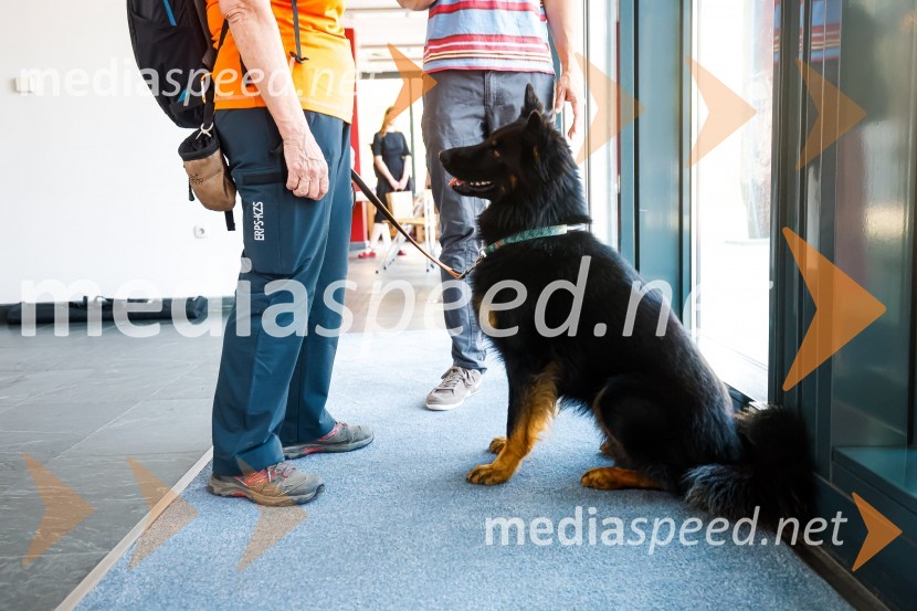 Psom prijazen in dostopen muzej, novinarska konferenca