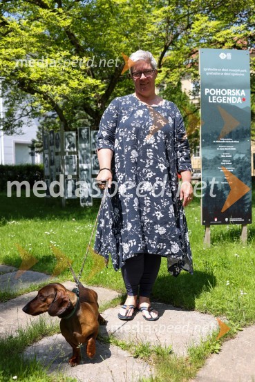 dr. Aleksandra  Berberih Slana, direktorica Muzeja narodne osvoboditve MariborPsom prijazen in dostopen muzej, novinarska konferenca