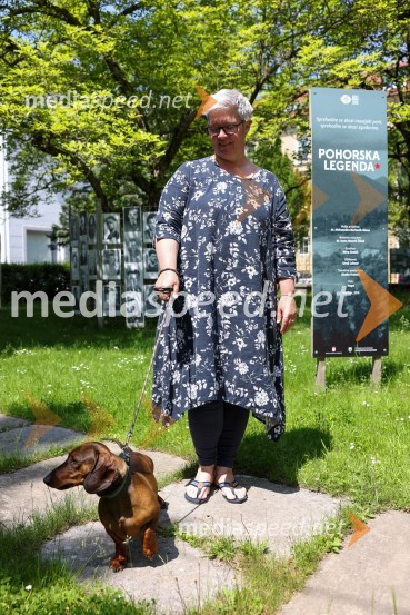 dr. Aleksandra  Berberih Slana, direktorica Muzeja narodne osvoboditve MariborPsom prijazen in dostopen muzej, novinarska konferenca