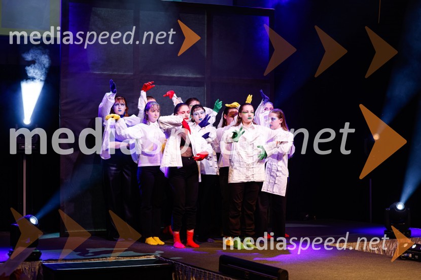 Festival lepote v Pionirskem domu