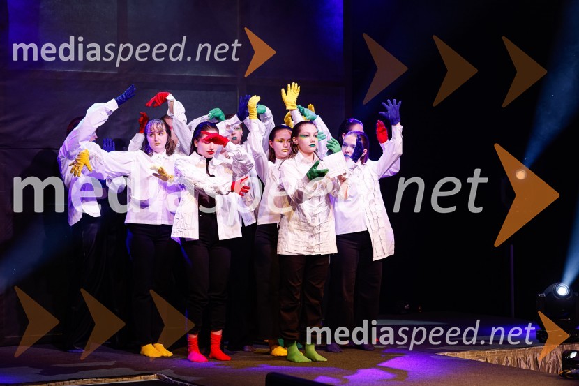 Festival lepote v Pionirskem domu